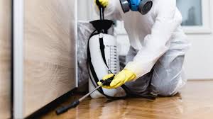 Best Termite Inspection and Treatment  in Mill Creek East, WA